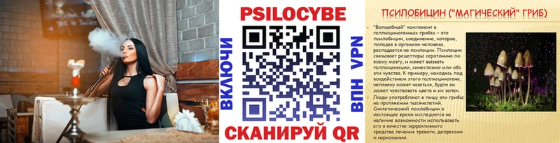 купить наркоту  Дальнегорск  Галлюциногенные грибы мухоморы 